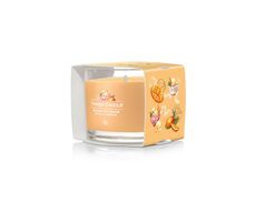 Yankee Candle Mango Ice Cream votívna sviečka plnená v skle 37g