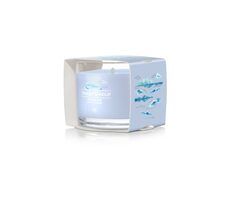 Yankee Candle Ocean AiR votívna sviečka plnená v skle 37g