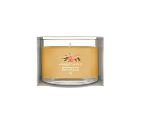 Yankee Candle votívna sviečka plnená v skle Glistening Leaves