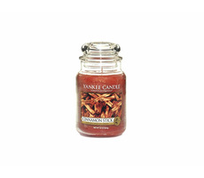 Yankee Candle Cinnamon Stick veľký pohár 623g