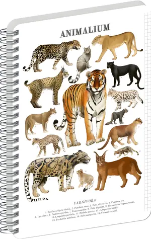NOTIQUE Animalium - Mačkovité šelmy / Špirálový blok / A4 / štvorčekový
