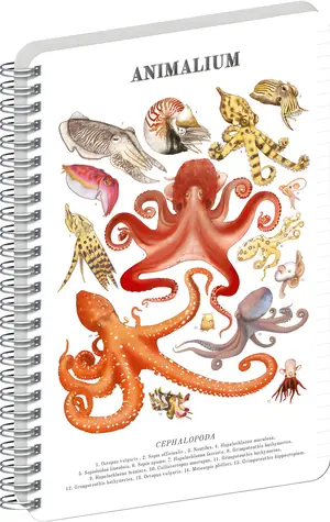 NOTIQUE Animalium - Hlavonožce / Špirálový blok / A4 / linajkový