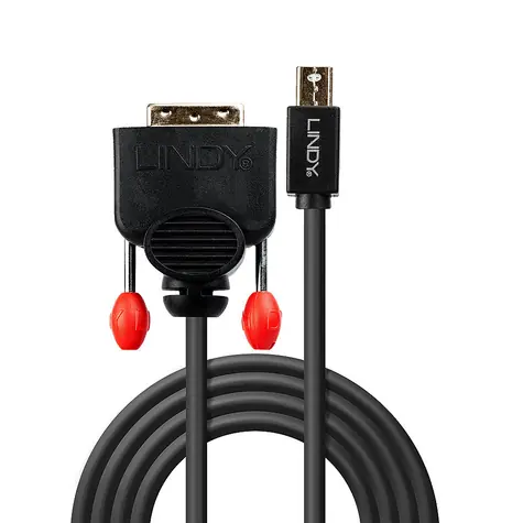 Lindy Mini DisplayPort - DVI-D čierna / Redukcia / 1920×1200 px / 2 m