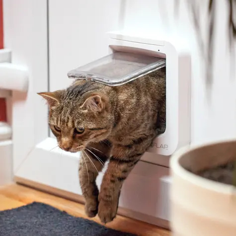 SureFlap Dvierka s mikročipom pre mačky hnedá / Dvierka / batériové / plast