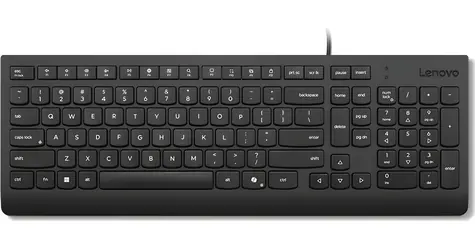 Lenovo Essential čierna / Drôtová klávesnica / CZ/SK layout / 1x USB-A