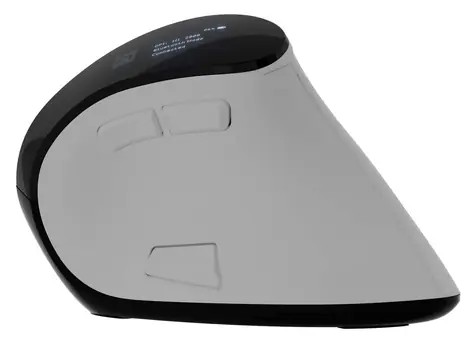 Natec EUPHONIE PRE biela / Vertikálna bezdrôtová myš / Blue Sense / Pre pravákov / 4 000 DPI / USB + Bluetooth