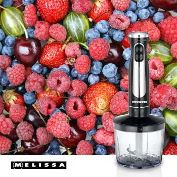 Melissa 16210069 čierna / Tyčový mixér / 600W / 2 rýchlosti / nerezový nôž / sekáčik 0,5 l