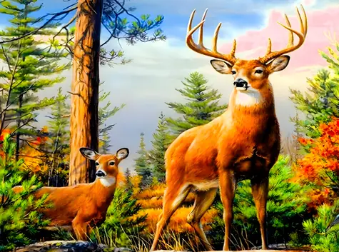 Norimpex Diamantové maľovanie Jeleň v horách / Diamantové maľovanie / 30x40 cm