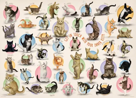 EUROGRAPHICS Puzzle Mačacia joga XL / 500 dielikov / 68 x 48 cm