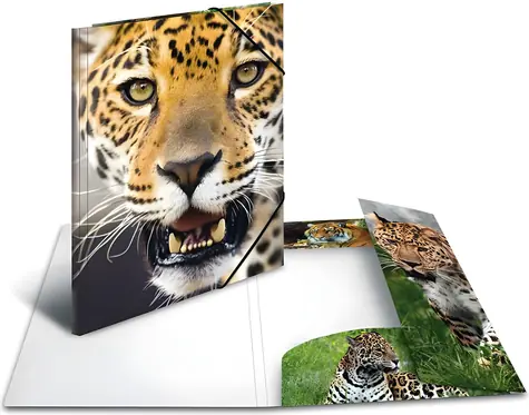 Herma Dosky s gumičkou Leopard A4 / Dosky s gumičkou / Polypropylén / Viacfarebné