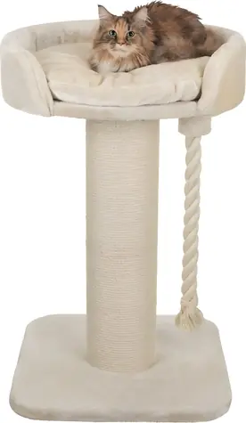 TRIXIE Škrabadlo Klara XXL krémová / Škrabadlo pre mačky / 100 cm
