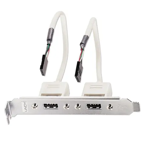 Lindy Slotblech USB adaptér / Redukcia / 2x USB-A - 2x IDC 5pin / 0,2m