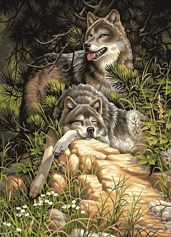 Norimpex Diamantové maľovanie Vlci v lese / Diamantové maľovanie / 30x40 cm