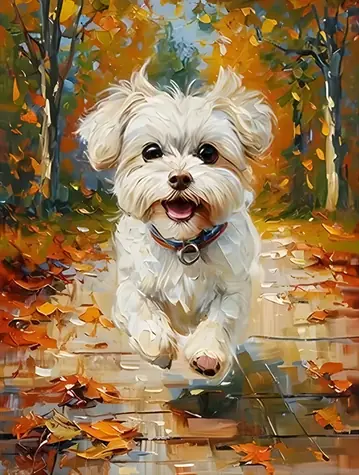 Norimpex Diamantové maľovanie Maltézsky pes / 30x40 cm