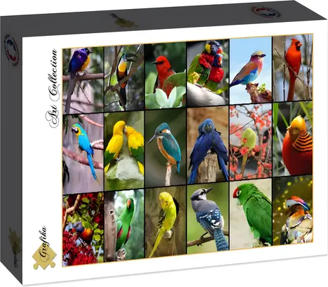 GRAFIKA Puzzle Najkrajšie vtáky sveta / 1500 dielikov / 85 × 61 cm