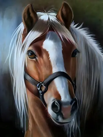Norimpex Diamantové maľovanie Portrét koňa (1009222) / 30x40 cm