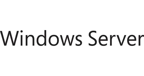 Microsoft Windows Server CAL 2025 CZ OEM / Licencia / 1 User CAL
