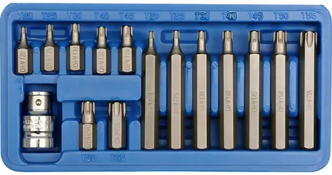 Vorel Sada bitov 15 ks CrV TORX / Sada bitov / T20-T55 / Dĺžky 30 a 75 mm / Plastový box
