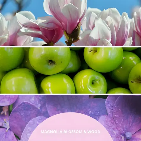 Millefiori Milano Magnolia Blossom & Wood staroružová / Vonný difuzér / 100 ml