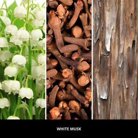 Millefiori Milano White Musk 250 ml (77DDMB) / Vonné tyčinky