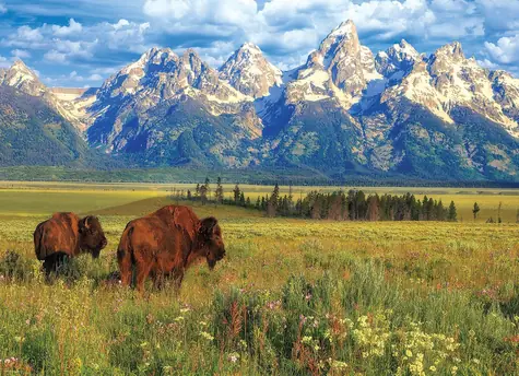 EUROGRAPHICS Puzzle Národný park Grand Teton / 1000 dielikov / 68 × 48 cm