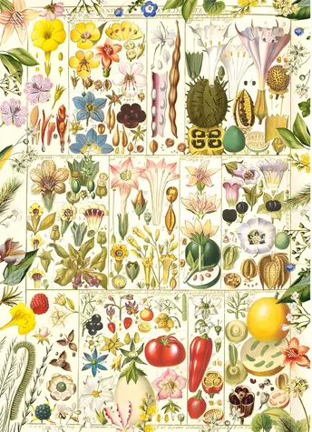 GIBSONS Puzzle Botanická blaženosť / 1000 dielikov / 49 x 68 cm
