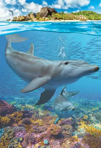 EUROGRAPHICS Puzzle Save Our Planet: Delfíny XL / 250 dielikov / extra veľké dieliky / 33 x 48 cm