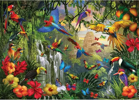 EUROGRAPHICS Puzzle Tropický vtáčí raj XL / 500 dielikov / 68 x 48 cm
