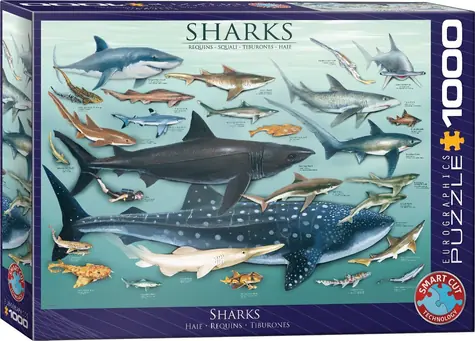EUROGRAPHICS Puzzle Žraloky / 1000 dielikov / 67,6 x 48,9 cm