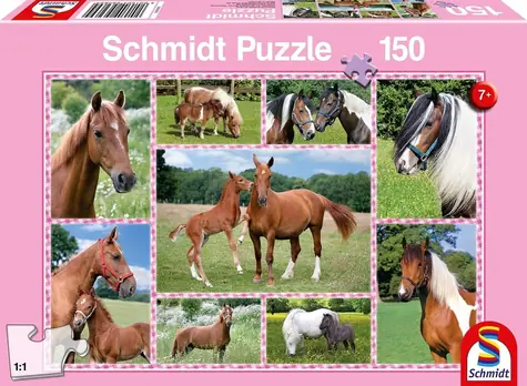 Schmidt Puzzle Nádherné kone / 150 dielikov / 43,2 × 29,1 cm