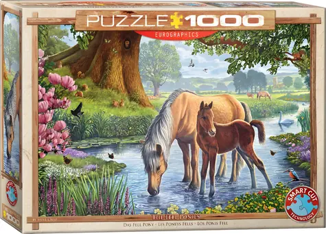 EUROGRAPHICS Puzzle Fellskí poníky / 1000 dielikov / 67,63 x 48,89 cm