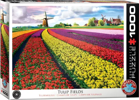 EUROGRAPHICS Puzzle Pole tulipánov / 1000 dielikov / 67,63 x 48,89 cm