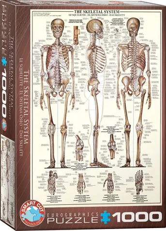 EUROGRAPHICS Puzzle Kostrová sústava / 1000 dielikov / 48,9 × 67,6 cm