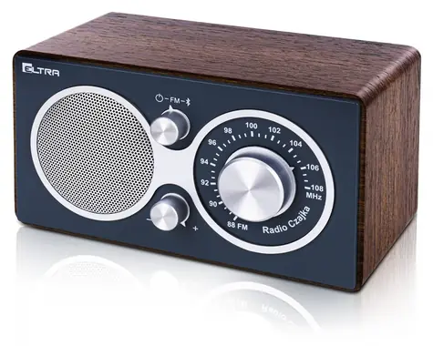 Czajka šedá / Rádioprijímač / Bluetooth / Prenosný
