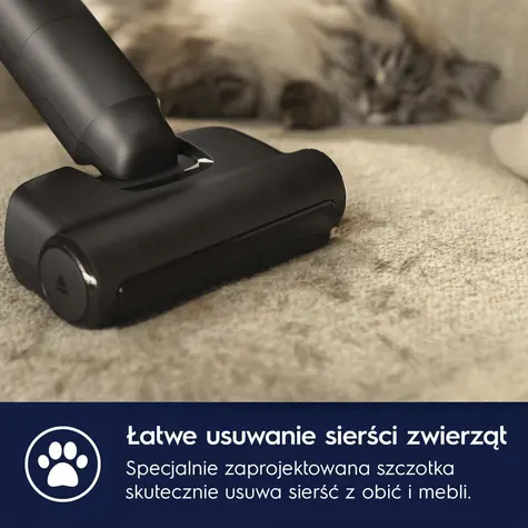Vysávač Animal 800 EP82AB25UG / Tyčový vysávač