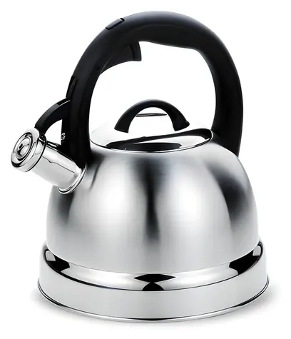 MR-1329 nerez, čierna rukoväť / Varná kanvica na platňu / 2,9 l / Píšťala / Nerezová oceľ