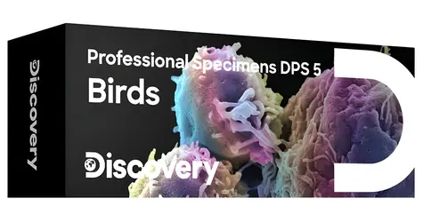 Discovery Prof Specimens DPS 5 / Sada hotových preparátov / Vtáky