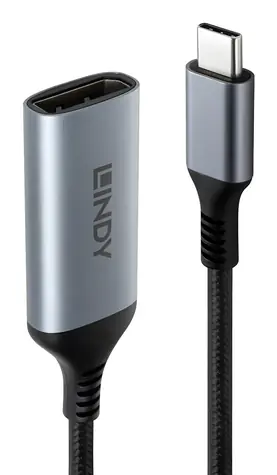 Lindy USB-C na DisplayPort 8K60 šedo-čierna / Adaptér / HDR / 0,15 m