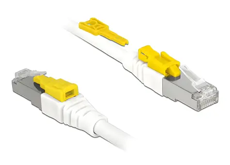 DeLock Kábel RJ45 Secure / Patch kábel / Cat.6A / S/FTP / 2 m