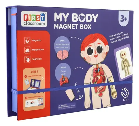 TEDDIES Magnetická skladačka Ľudské telo / Výuková hračka / drevo / od 3 rokov