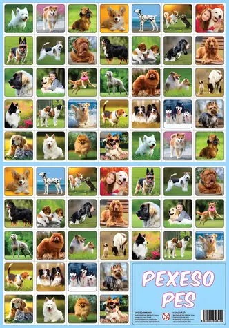 Rappa Pexeso Pes / 32 dvojíc / Motív psíkovia