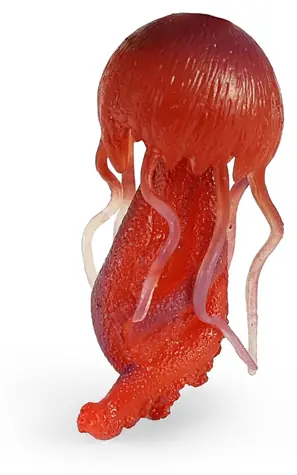 Rappa Gumová medúza 10 cm / Vodná hračka