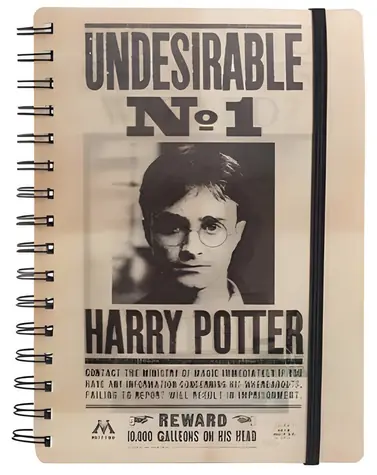 Zápisník Harry Potter Sirius & Harry 3D / Zápisník / 3D prevedenie