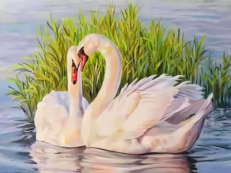 Norimpex Maľovanie podľa čísel Labute (1008236) / 40x50 cm