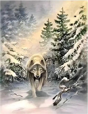 Norimpex Maľovanie podľa čísel Vlk v lese / 40x50 cm