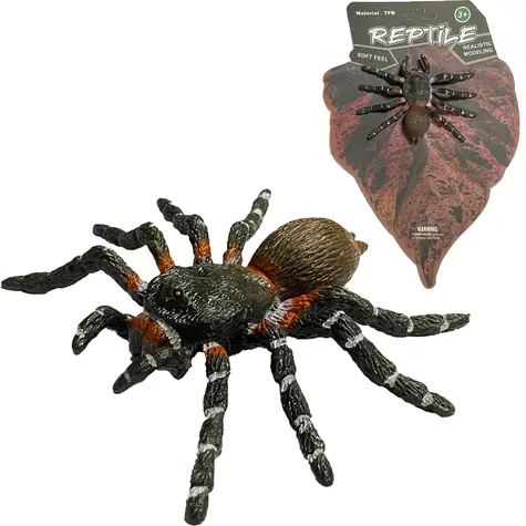 SPARKYS Model pavúka White Knee Spider Živá príroda / TPR guma / 8 cm / od 3 rokov