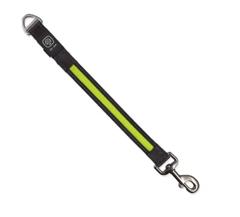 Dog Fantasy Vodítko USB LED nylonový prepínací svietiaci zelená 2.5x39 cm