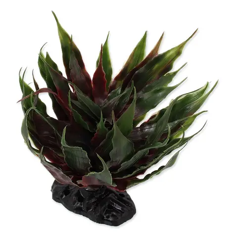 Repti Planet Rastlina sukulent Agave zelená 18cm