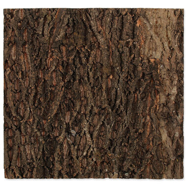 Repti Planet Pozadie korok prírodný 58.5x56x2cm