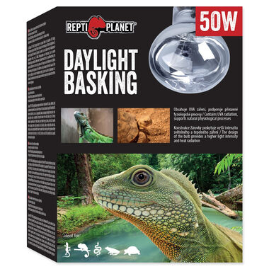 Repti Planet žiarovka Daylight Basking Spot 50W